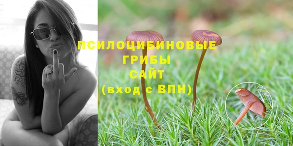 экстази Баксан