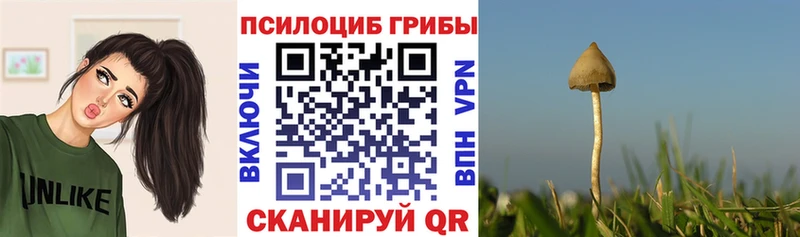 Галлюциногенные грибы GOLDEN TEACHER hydra маркетплейс Нефтегорск